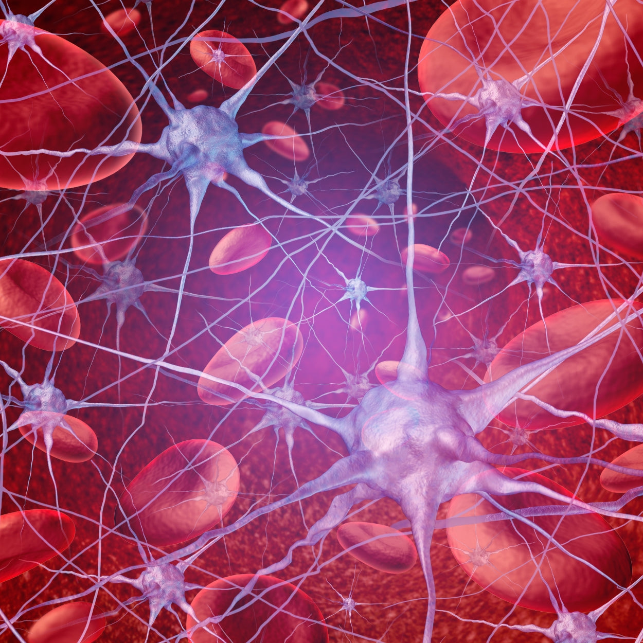 Illustration von Nervenzellen (Neuronen) und Blutkörperchen, die miteinander verbunden sind.