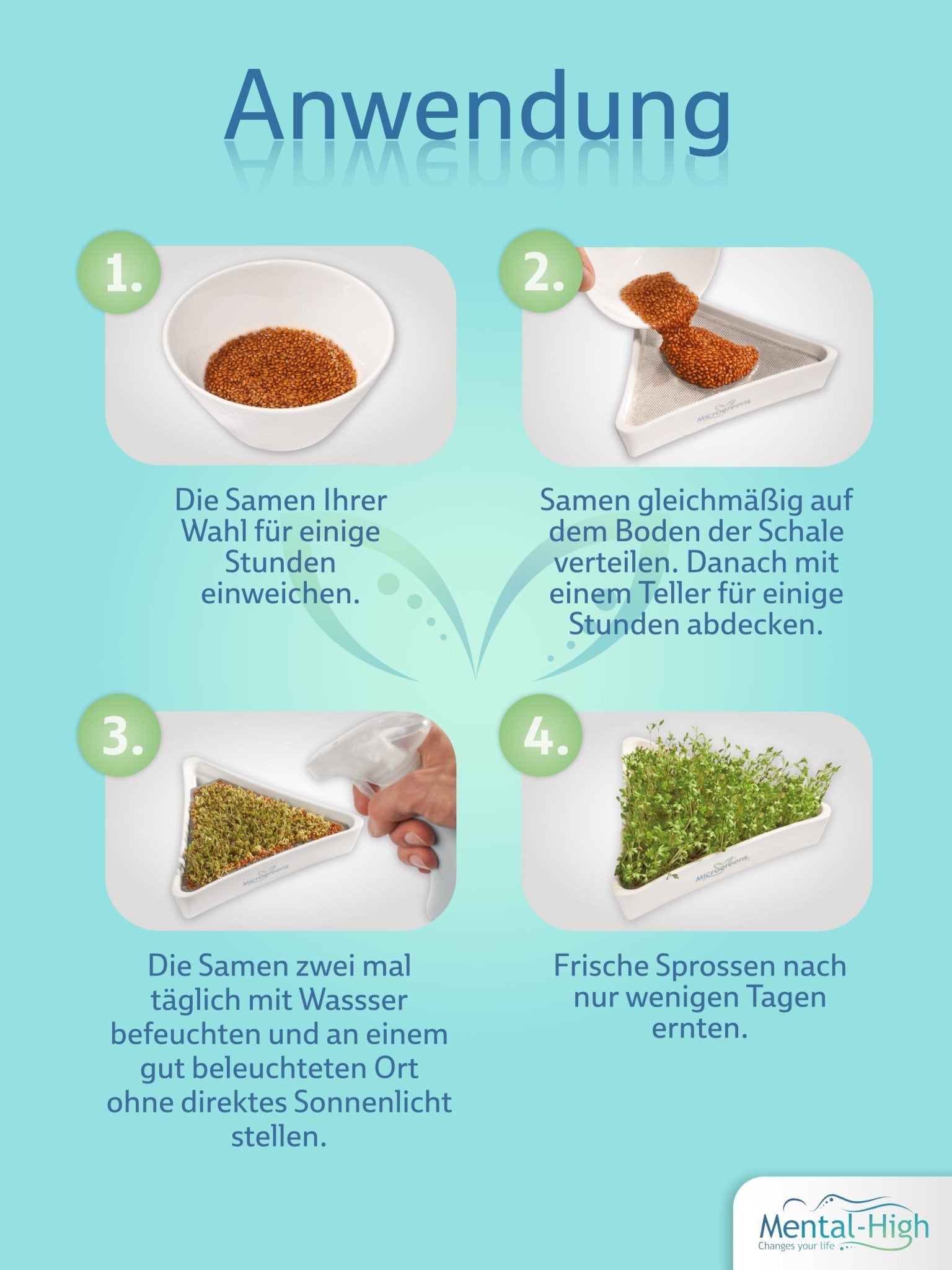 Mental - High Kresseschaale aus Keramik mit Edelstahlsieb – Sprösschen & Microgreens für frische Sprossen | Mental - High – Kresse Anzuchtschale von Mental High | Mental - High